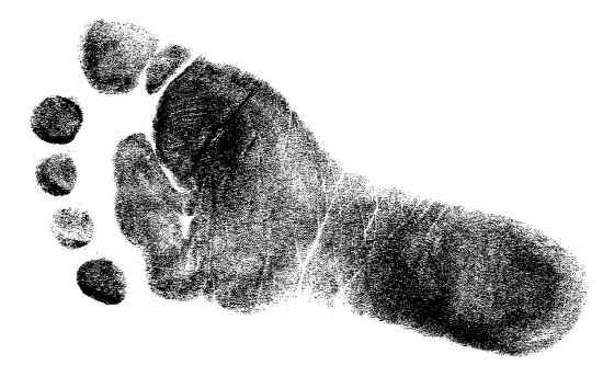 Accounting Stamp