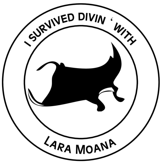 Address stamp without frame
