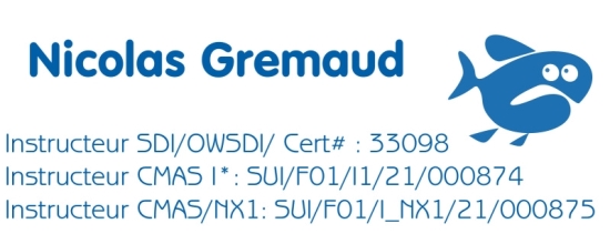 Address stamp with frame